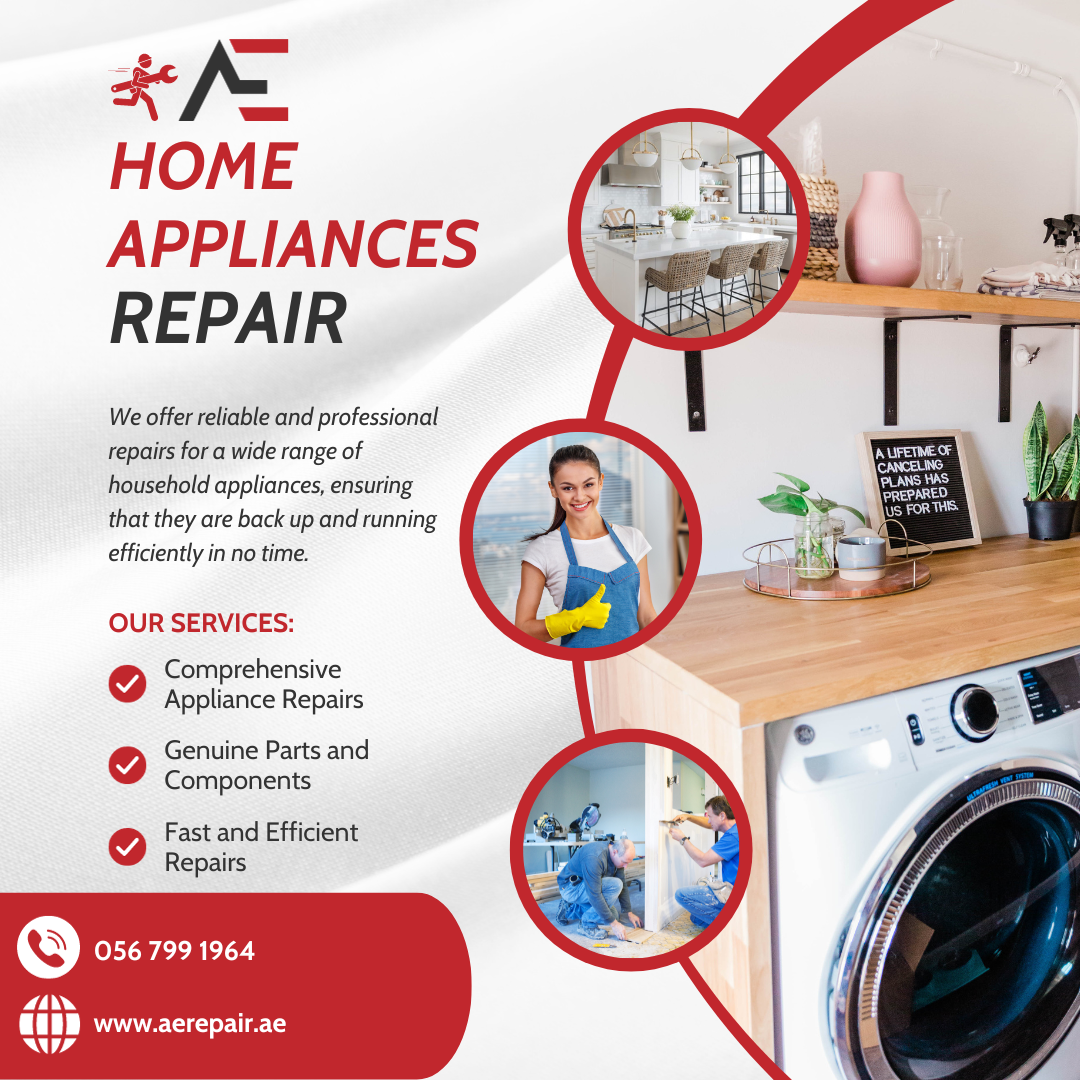 Washing machine deep clean & service